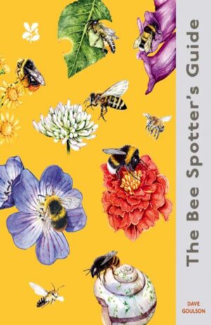 The Bee Spotter’s Guide by Dave Goulson – Hardback